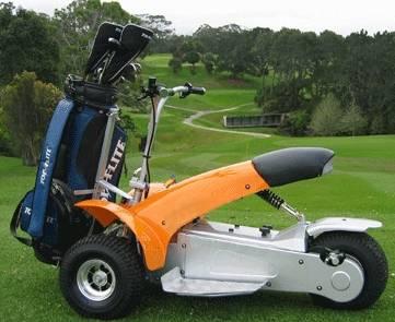 1000 Watt Electric 36v Golf Caddy Scooter Buggy Cart Mobility Scooter