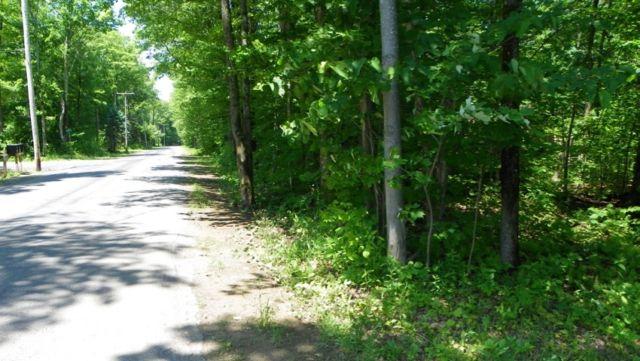 100x200 parcel is just minutes from Salmon River reservoir, NY $11,900
