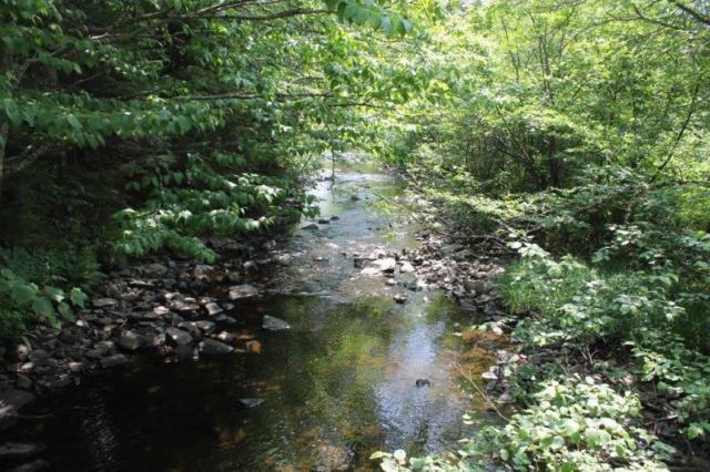 117 Acres BORDERING STATE FOREST in the TUG HILL REGION of NY