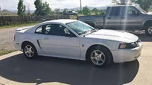 2004 White Ford Mustang (Excellent Condition) Base Coupe 2-Door 3.8L