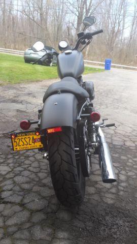 2015 Harley Iron Like BN