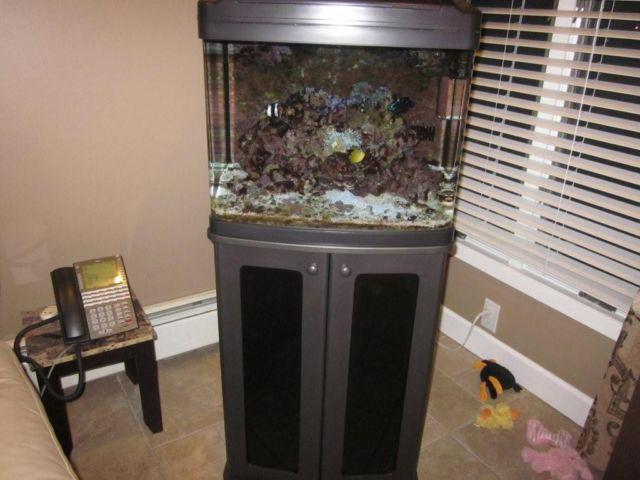 20 gallon fish tank or hamster tank with metal stand for sale