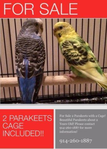 2 Beautiful Parakeet Birds w/ Cage