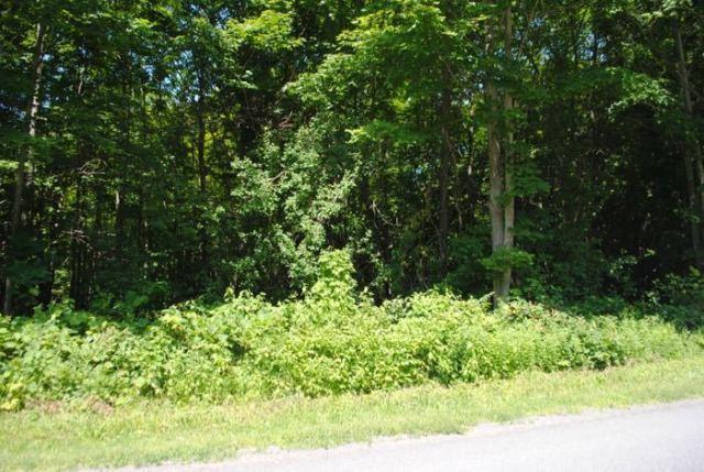 3+ acres with a stream for sale, Orwell NY
