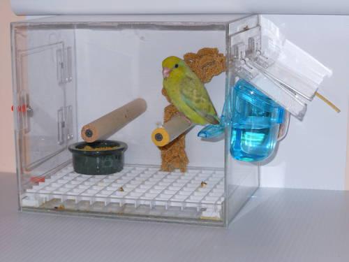 6 NEW DIVIDABLE BREEDER CAGES FOR FINCHES, CANARYS, PARROTLETS