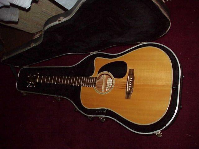 Acoustic/Electric Guitar, Takamine