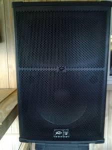 Awesome Peavey PS2 speakers