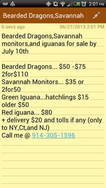 BEARDED DRAGONS, SAVANNAH MONITORS,AND RED AND GREEN IGUANAS FOR SALE