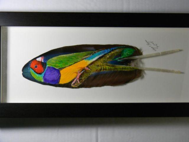 BEAUTIFUL HAND PAINT FINCH PICTURE