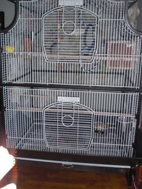 Bird Cage, good for canaries to Amazon