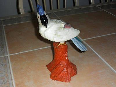 Bird Carving-Exceptional Parrot { Cockatoo}-Originally $255.00