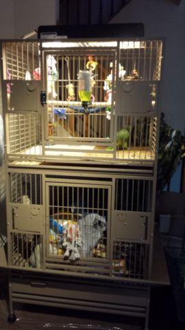 Bird corner cage/aviary