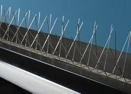 Bird Spikes/Pigeon Spikes -- 96 ft (3 ft sections)