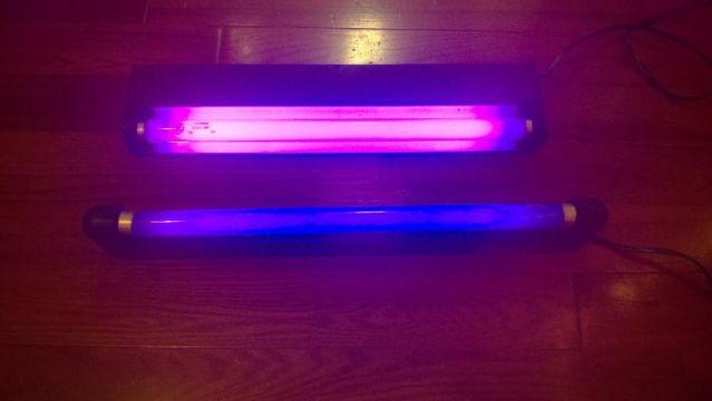 Black lights, red lights, and lava lamp - used, working (NEGOTIABLE)