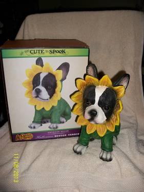 Boston Terrier - Sun Flower