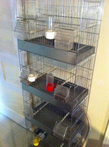 BREEDER BIRD CAGE FOR SALE LIKE NEW