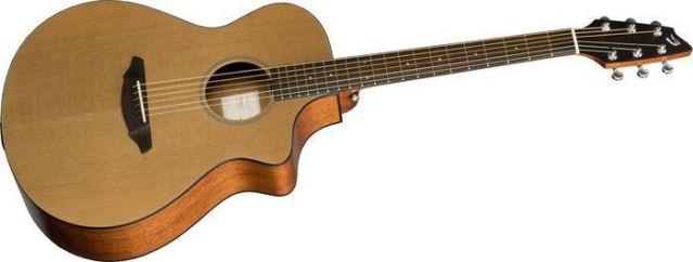 Breedlove Passport C250/DMe Acoustic Electric Guitar w/Gigbag