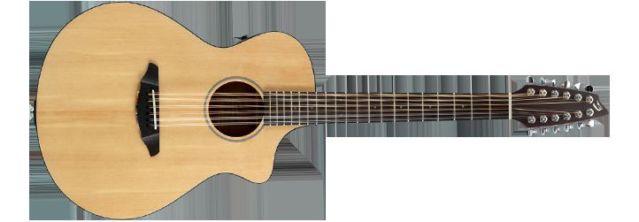 Breedlove Passport C250/SMe-12 Acoustic Electric 12 String Guitar w/gi