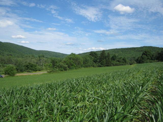 BUILDING LOT in Ithaca NY with VIEWS --- has been SURVEYED