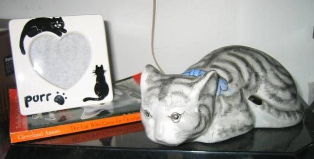 CAT figurine, photo frame, books