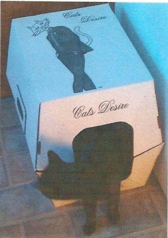 Cat Litter Boxes-5-pack