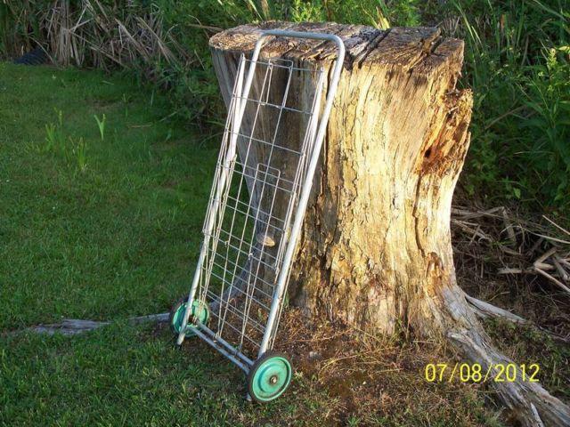 Collapsible Utility/Grocery/Laundry Cart STILL AVAILABLE