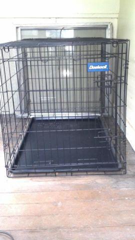 Dog Crate, dog runner and chain leash