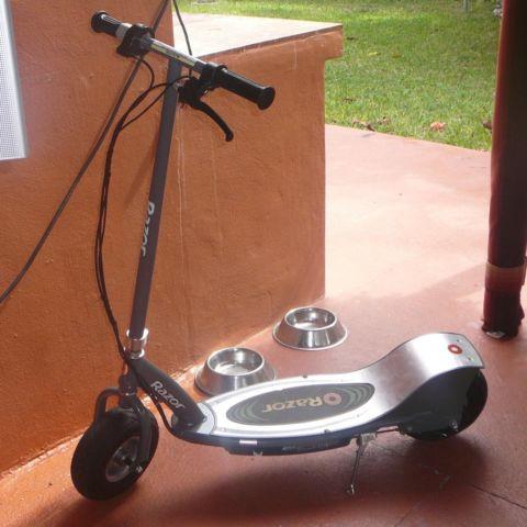 Electric Scooter.