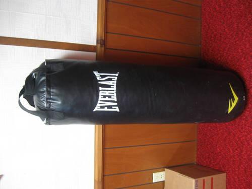 Everlast 100 lb Punching Bag