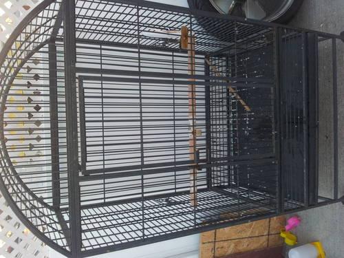 Extra large parrot cage for sale or trade