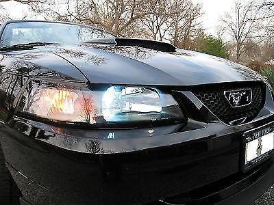 Ford Mustang GT Convertible 2003 Black - Excellent Condition