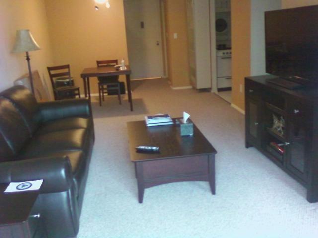 Furniture for Sale: Brand New Living Room (w/46