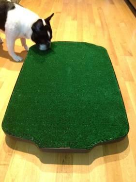 Go-Doggy-Go Indoor Dog Potty: extra topper when buying 2 potties.
