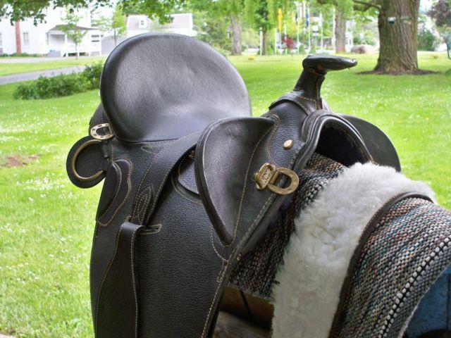 Gorgeous never used Aussie Saddle