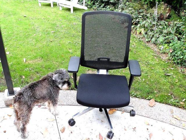Herman Miller (Really Rare) ADVO Office Chair. Modern COLLECTABLE