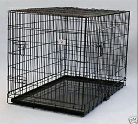 I have a brand new cage 4 the dogs 4 sale