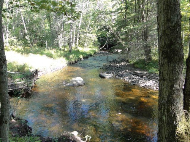 Land in Oppenheim NY in the Adirondacks with Trout Stream 75 Acres