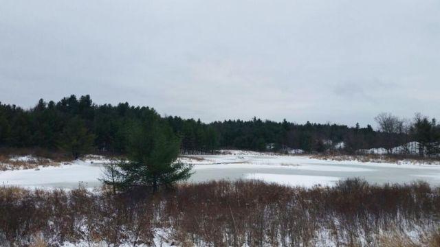Land near BLACK LAKE -- Borders STATE FOREST -- Ponds -- 69 Acres