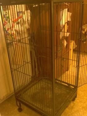 Looking for large cage and/or IRN supplies.