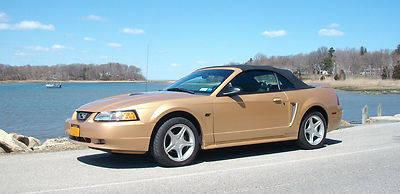 Mustang GT Convertible 5 Speed