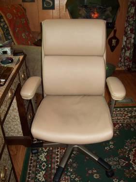 Office/Computer Chair, Beige/Wheat, High Back, 6 mos old. Beautiful!