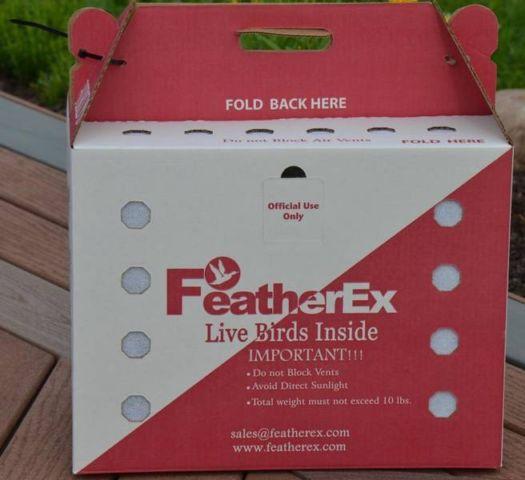 Package of 10 FeatherEx Premier Boxes: Ready-To-Go Bird Shipping Box