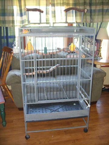 Parrot Breeding Aviary available birds & equipment must relocate