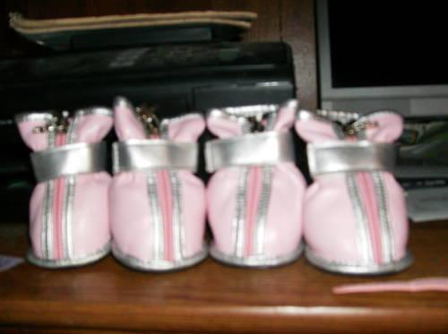 PINK AND SILVER DOGGIE BOOTS ,PINK COLLAR, RHINESTONE HEARTS W/BUCKLE