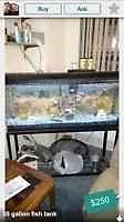 Pre-owned 55 galloon square fresh water fish tank