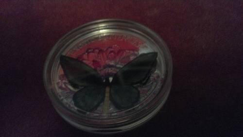 RARE 3D BUTTERFLY SILVER COIN!!! ONLY 2,500 MINTED!