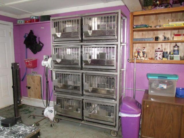 Stainless Steel 8 unit rabbit lab cages