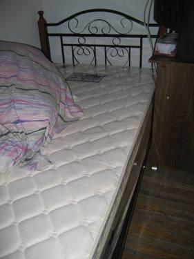 Twin Bed Black Metalic&Cherry Wood bed; w/mattress