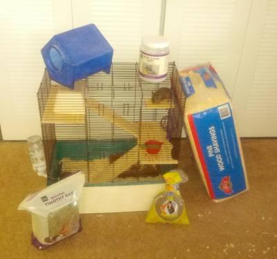 Two Male Degus, Cage & All Supplies