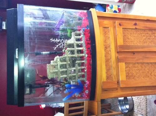 Used 25-29 gallon Fish Tank w/Stand and all the accessories